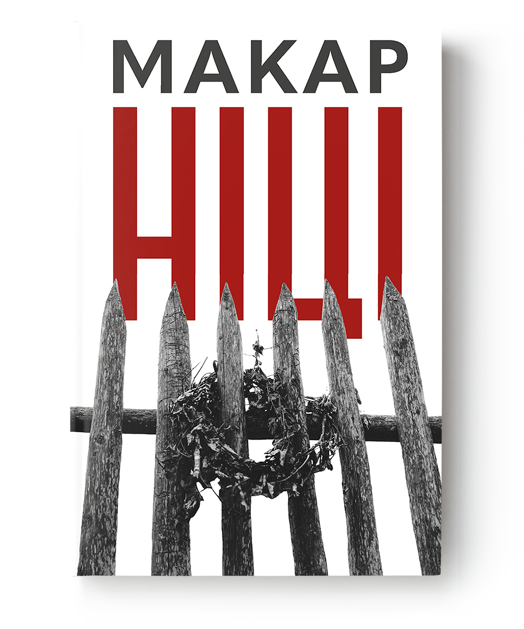 Ніці (Paperback)