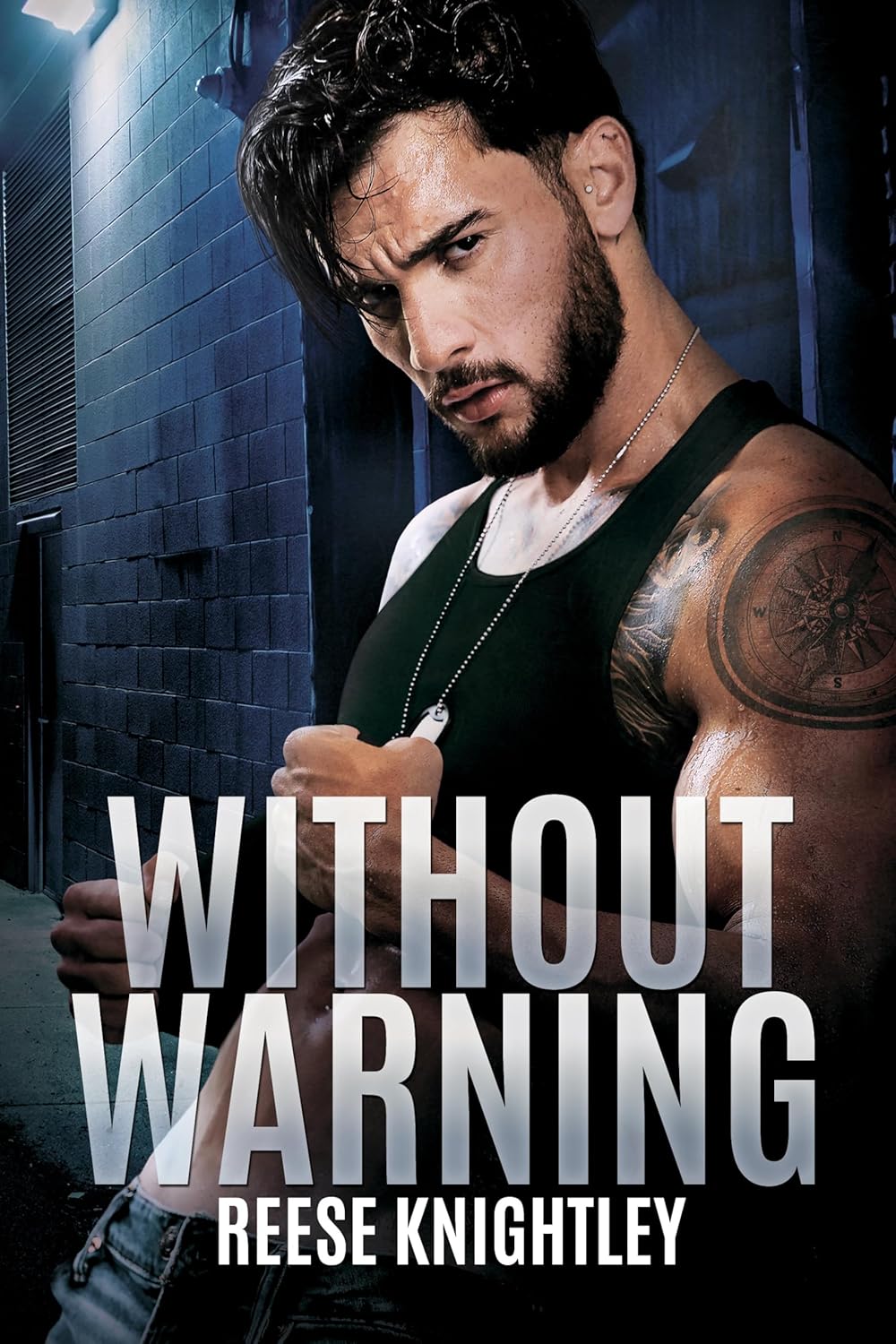 Without Warning (Cobalt Security, #1)