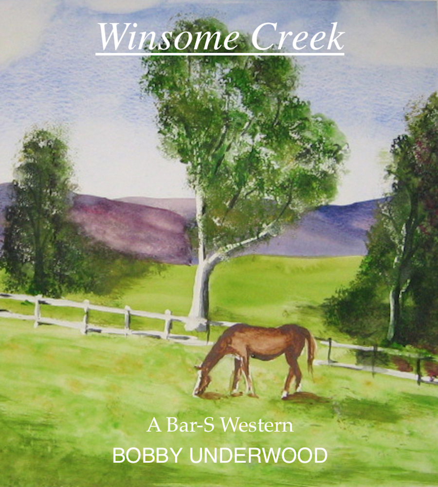 Winsome Creek: A Bar~S Western
