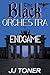 The Black Orchestra: Endgame
