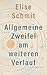 Allgemeine Zweifel am weiteren Verlauf by Elise Schmit