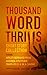 Thousand Word Thrills by Rachel  Graham