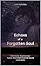 Echoes of a Forgotten Soul by Liora Mitchell