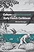 Culture and Environment in the Early French Caribbean