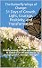 The Butterfly Wings of Change by Marvin Chaper