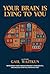 Your Brain is Lying to You by Gail Waitkun