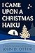 I Came Upon a Christmas Hai...