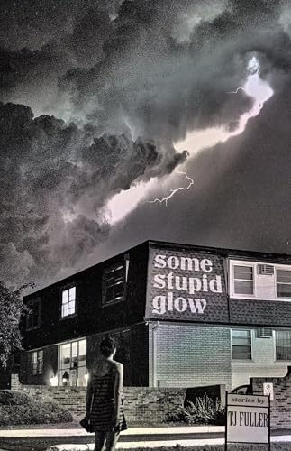 Some Stupid Glow: Stories (Paperback)