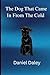 The Dog That Came In From The Cold by Daniel Daley