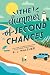The Summer of Second Chances (Standard Edition)