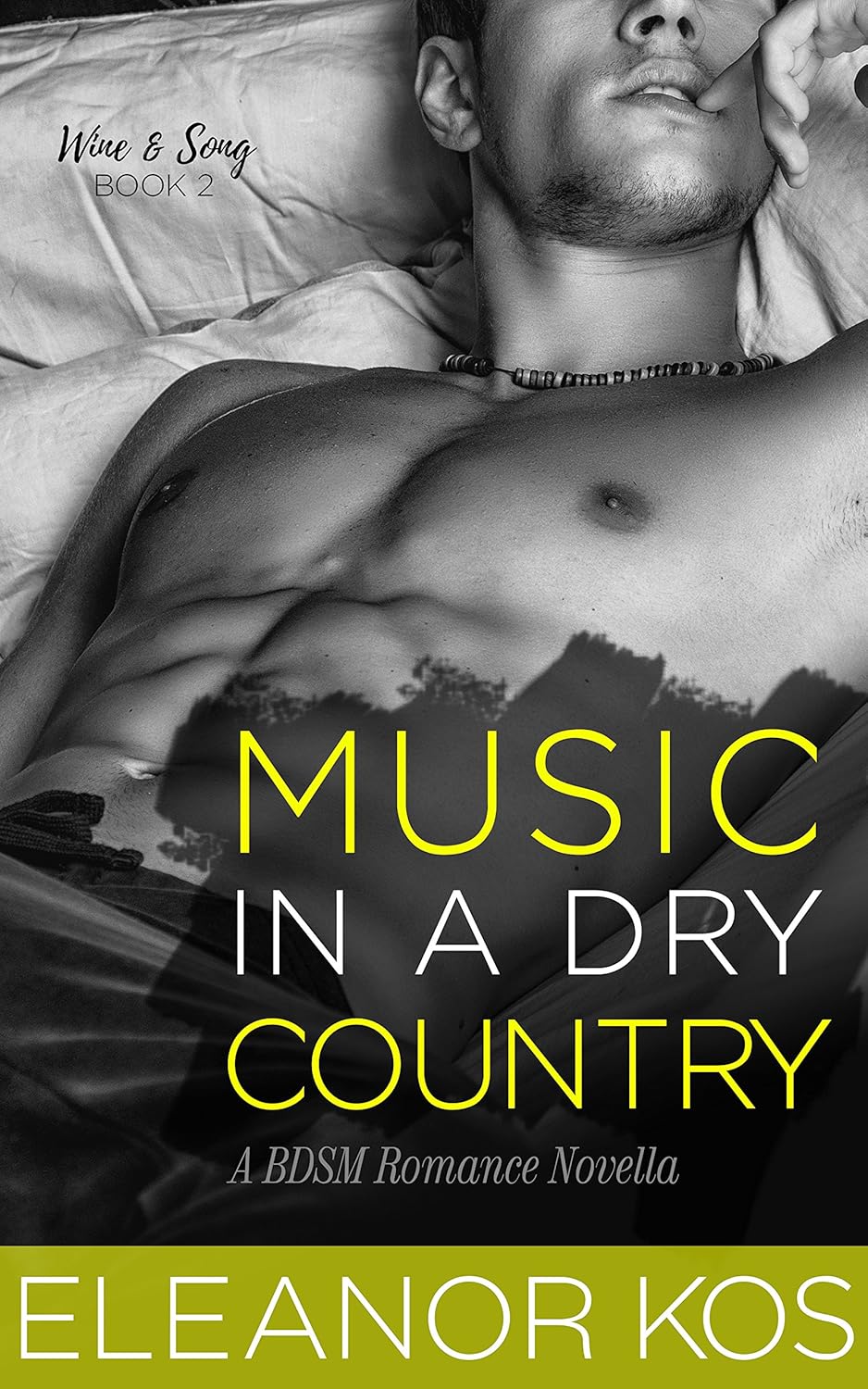 Music in a Dry Country (Wine & Song, #2)