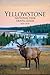 Yellowstone National Park Travel Guide 2025-2026 by Lyra Hart