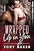 Wrapped Up in You (Undercover Lovers, #9)