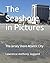 The Seashore in Pictures: T...