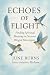 Echoes of Flight: Finding S...