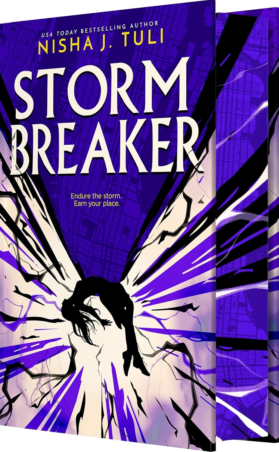 Storm Breaker (Hardcover)
