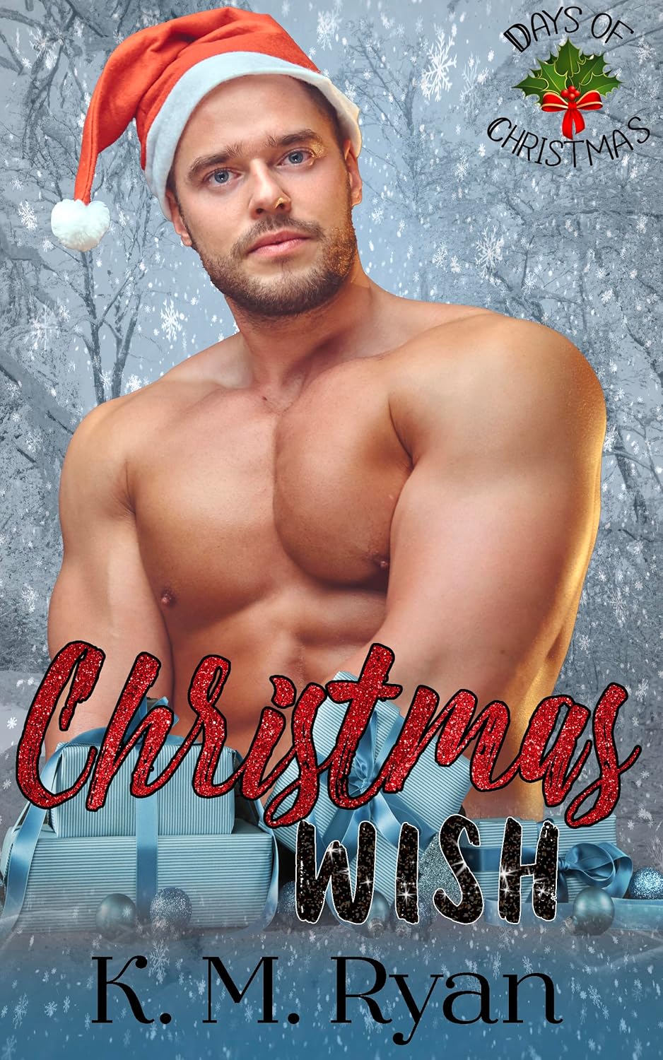 Christmas Wish (Days of Christmas: Season 2)