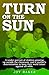 Turn on the Sun by Joy Baker