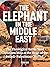 The Elephant in the Middle East: The Spiritual Battle Christians Often Miss Behind the Israeli-Palestinian Conflict