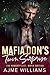 Mafia Don's Twin Surprise (The Naughty List: Mafia Edition, #4)