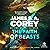 The Faith of Beasts by James S.A. Corey