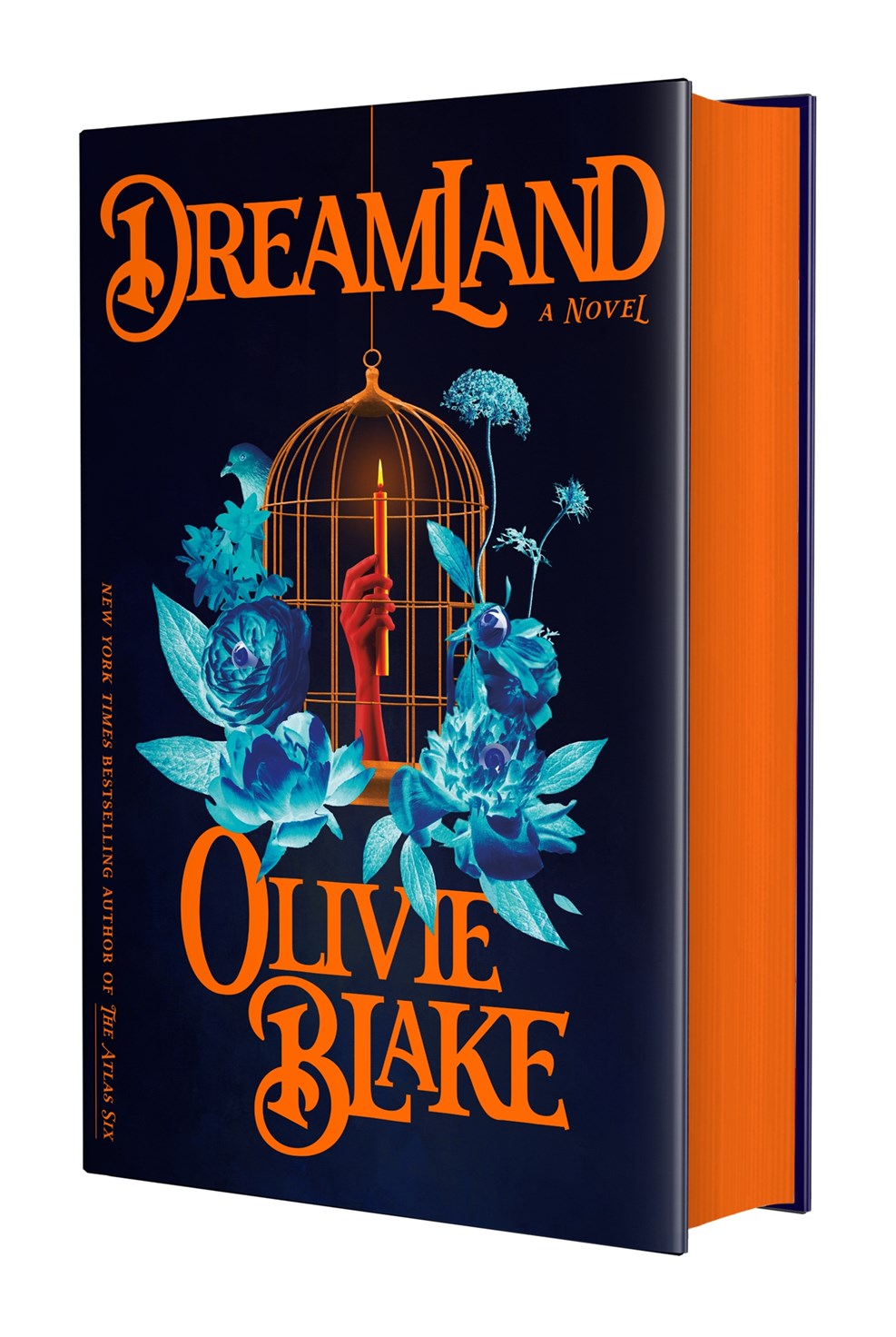 Dreamland (Hardcover)