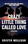 Crazy Little Thing Called Love (Holidays & Homicide, #3)
