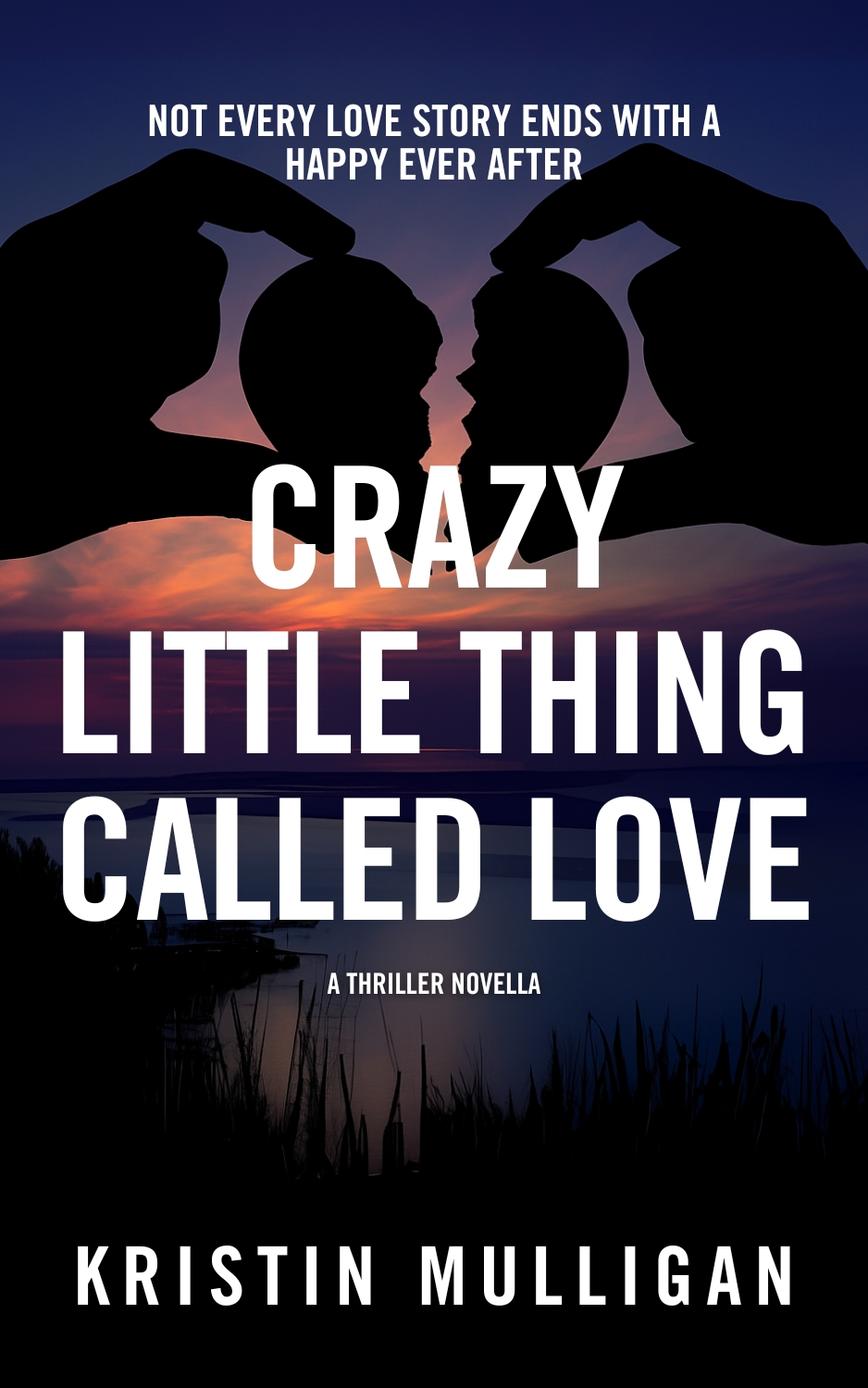 Crazy Little Thing Called Love: A Thriller Novella
