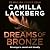 Dreams of Bronze (Faye's Revenge, #3)