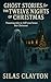 Ghost Stories for the Twelve Nights of Christmas by Silas Clayton