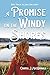 A Promise on the Windy Shor...
