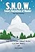 S. N. O. W.: Snowy Narrativ...
