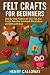 Felt Crafts for Beginners: ...