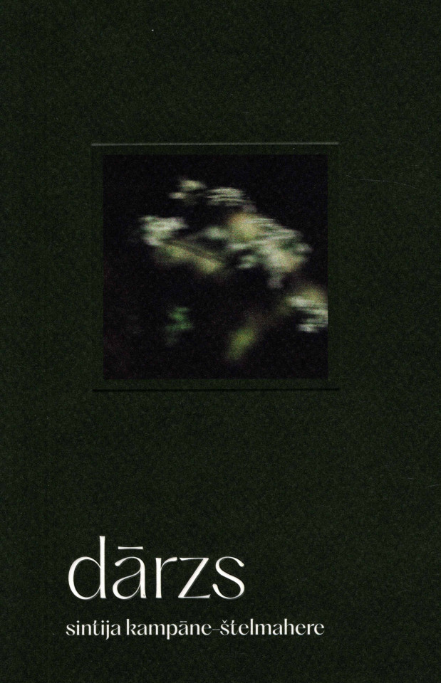 dārzs (Paperback)
