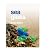Sea Glass  by Anna Dalton
