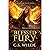 Blessed Fury: An Urban Fant...