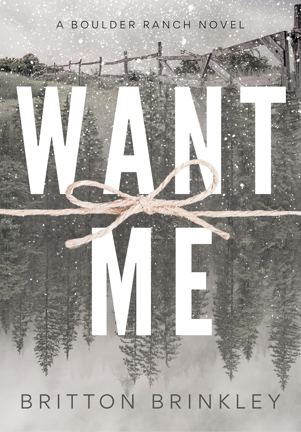 Want Me (Kindle Edition)