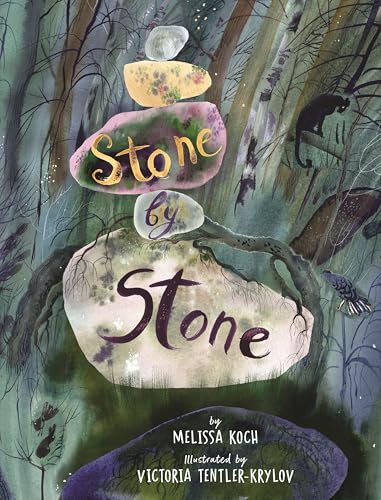 Stone by Stone: A Rock's Journey Through Time (Hardcover)