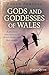 Pagan Portals - Gods and Goddesses of Wales by Halo Quin