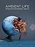 Ambient Life: Melville and the Ethereal Enlightenment (Posthumanities)
