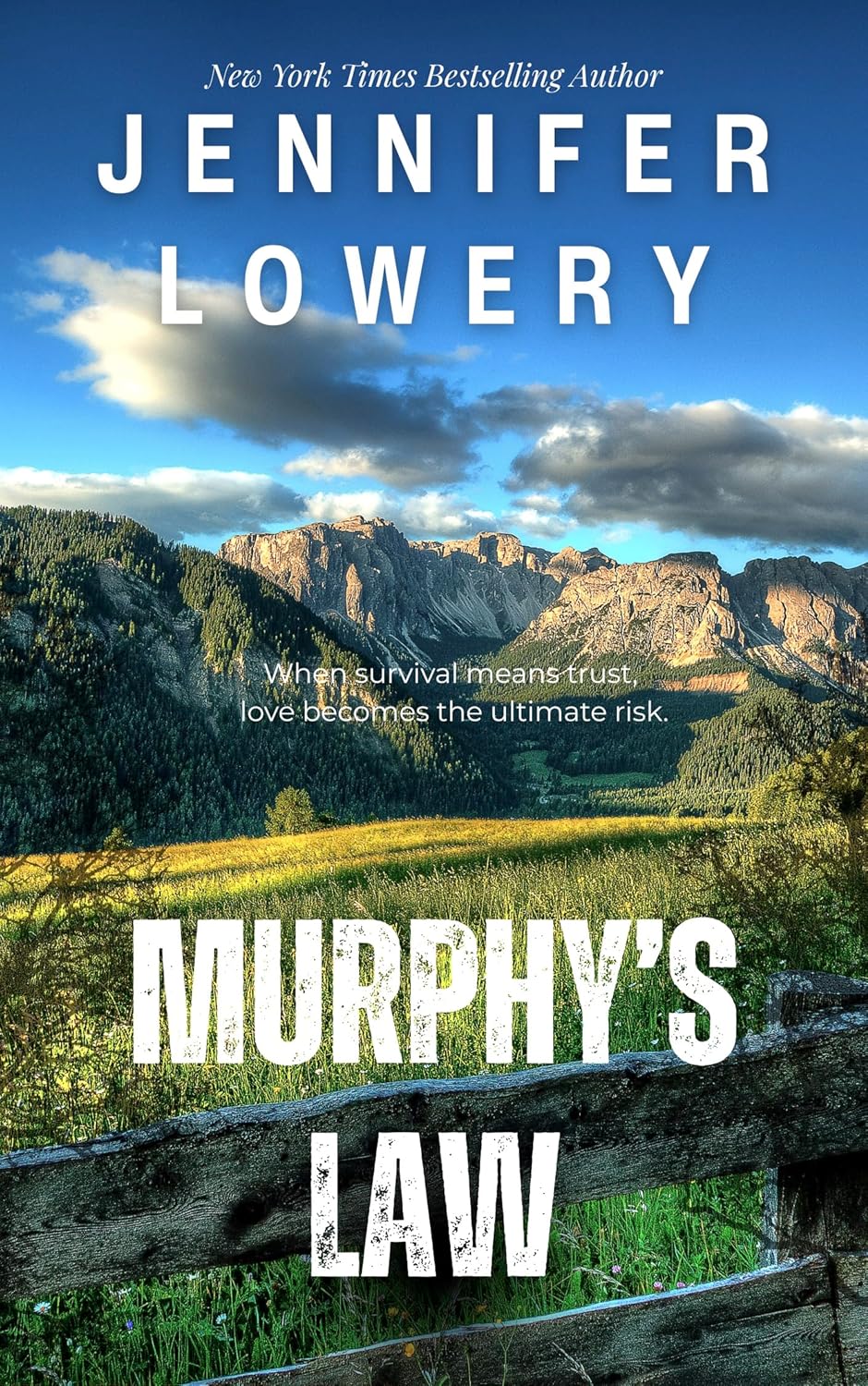 Murphy's Law (Kindle Edition)