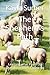 The Shepherd's Path: Learni...