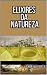 Elixires da Natureza by Sabrina Costa