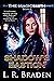 Shadow's Bastion by L.R. Braden