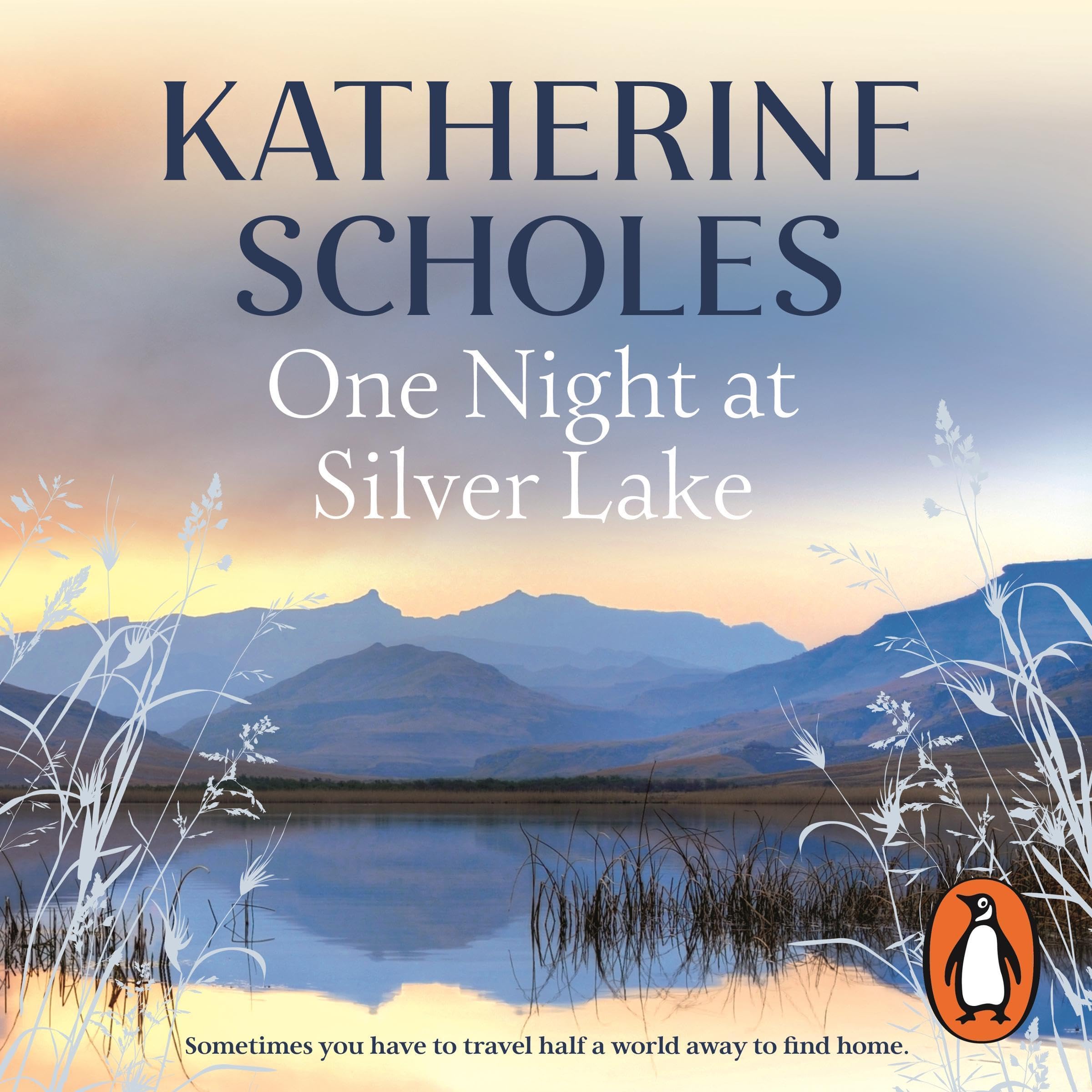 One Night at Silver Lake (Audible Audio)