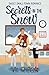 Secrets in the Snow (Seasons of Hillsdale)