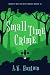 Small Time Crime by A.W. Hartoin