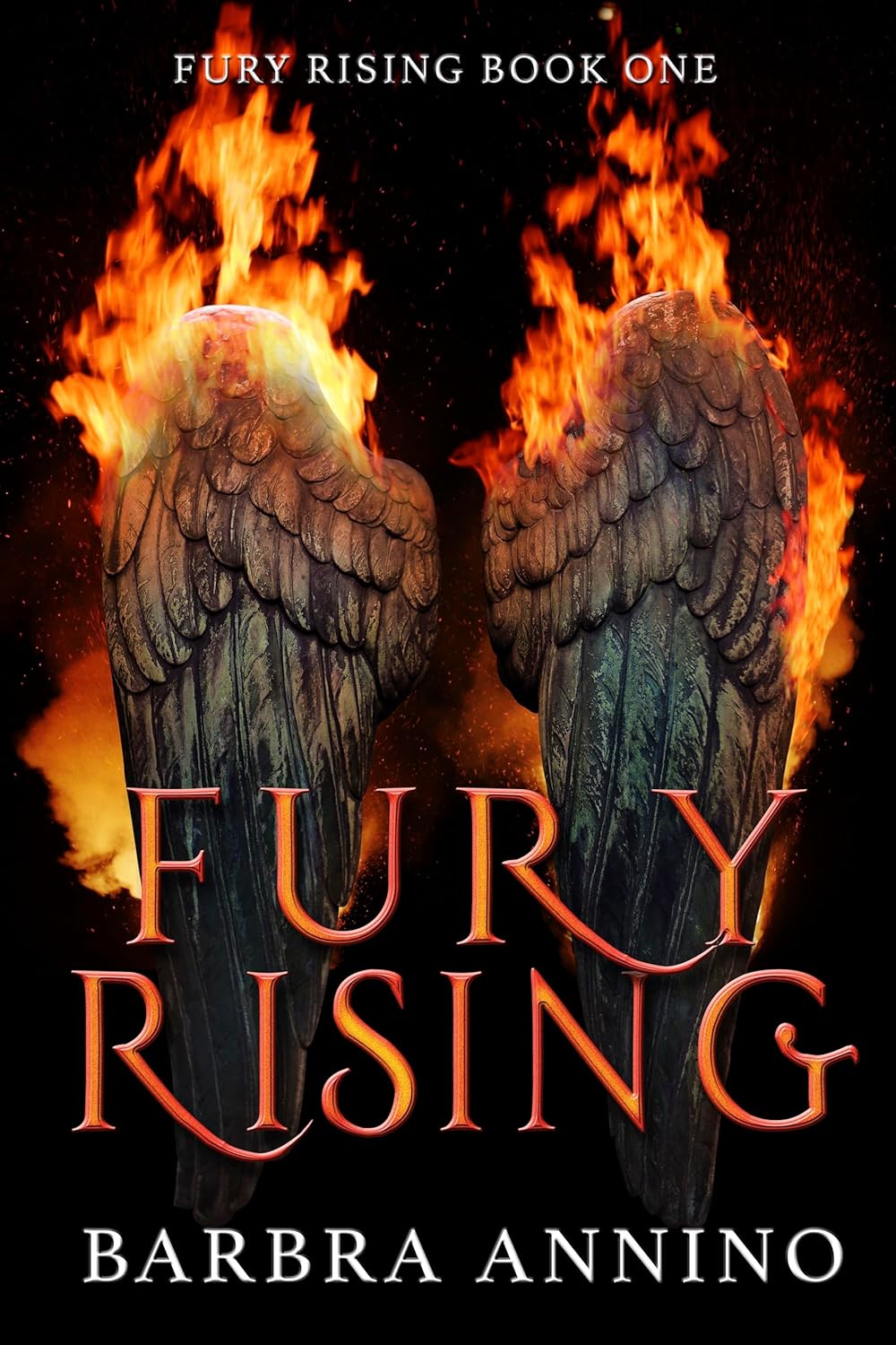 Fury Rising (Fury Rising, #1)