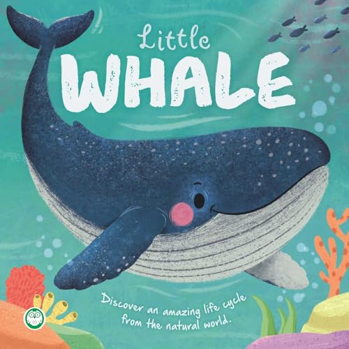 Nature Stories: Little Whale: Discover an Amazing Story from the Natural World (Board Book)