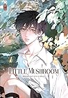 Little Mushroom –...